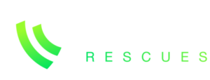 Website Rescues